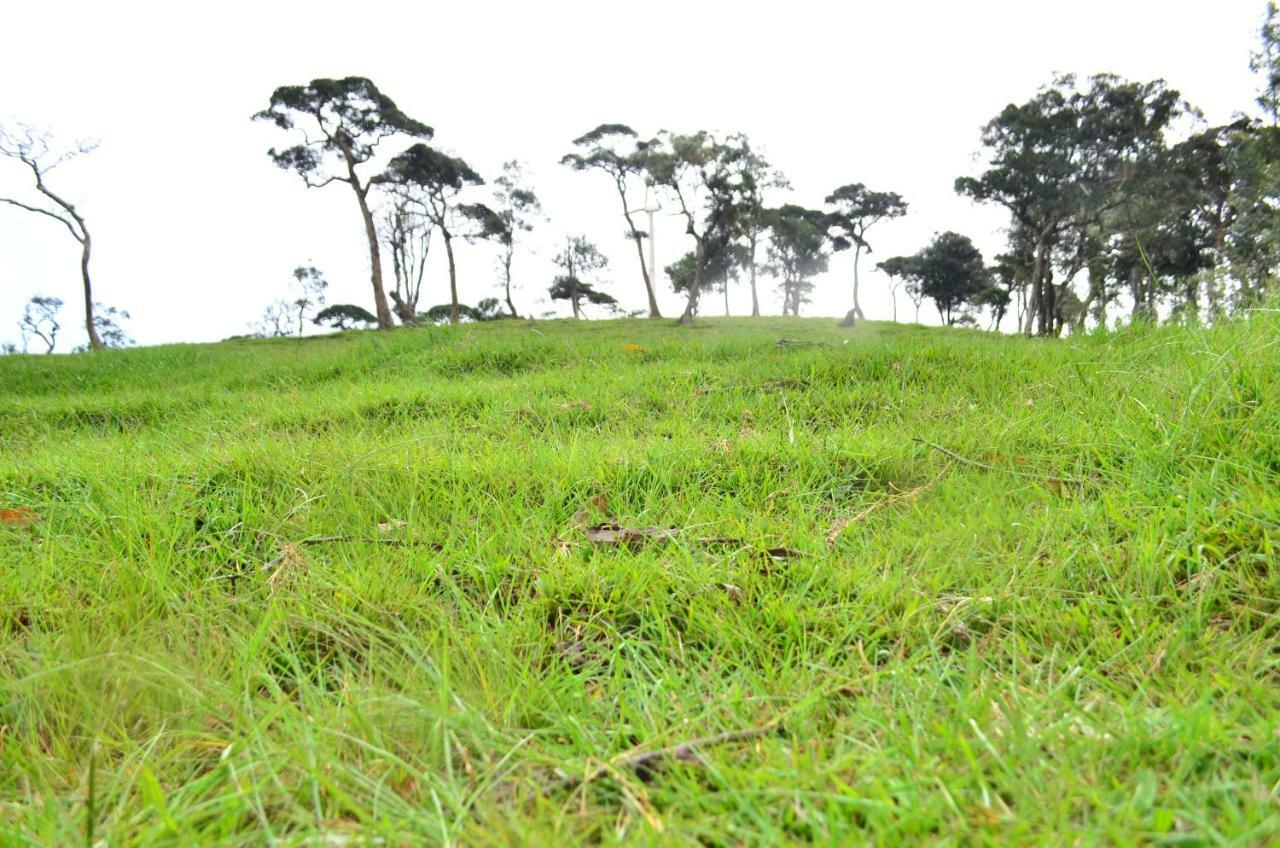 Yensfield Blackpool Nuwara Eliya Extérieur photo