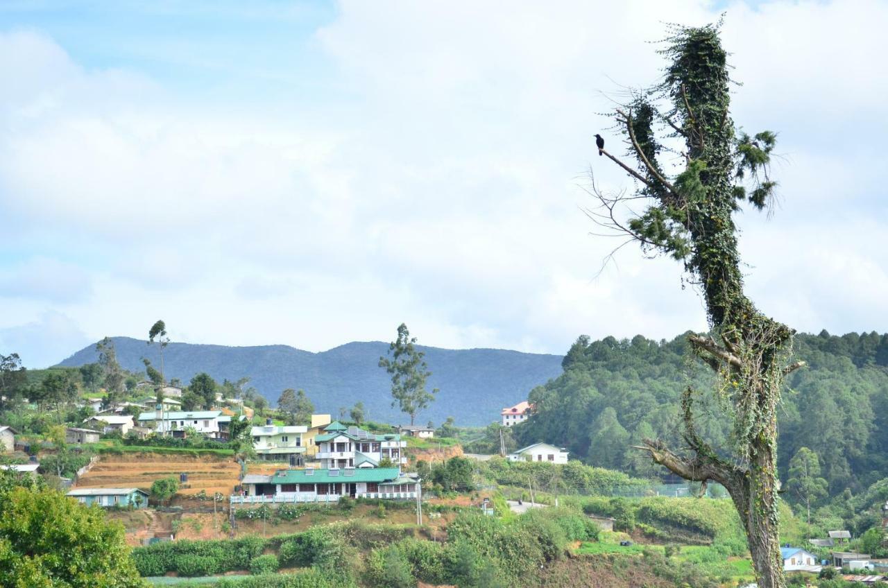 Yensfield Blackpool Nuwara Eliya Extérieur photo