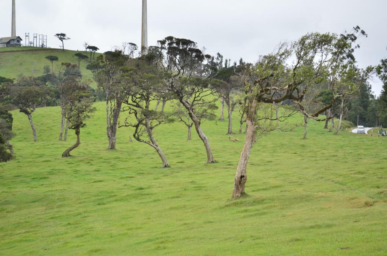 Yensfield Blackpool Nuwara Eliya Extérieur photo
