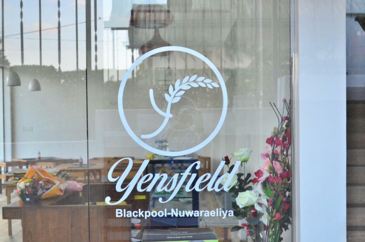 Yensfield Blackpool Nuwara Eliya Extérieur photo