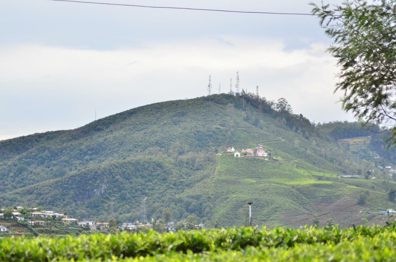 Yensfield Blackpool Nuwara Eliya Extérieur photo
